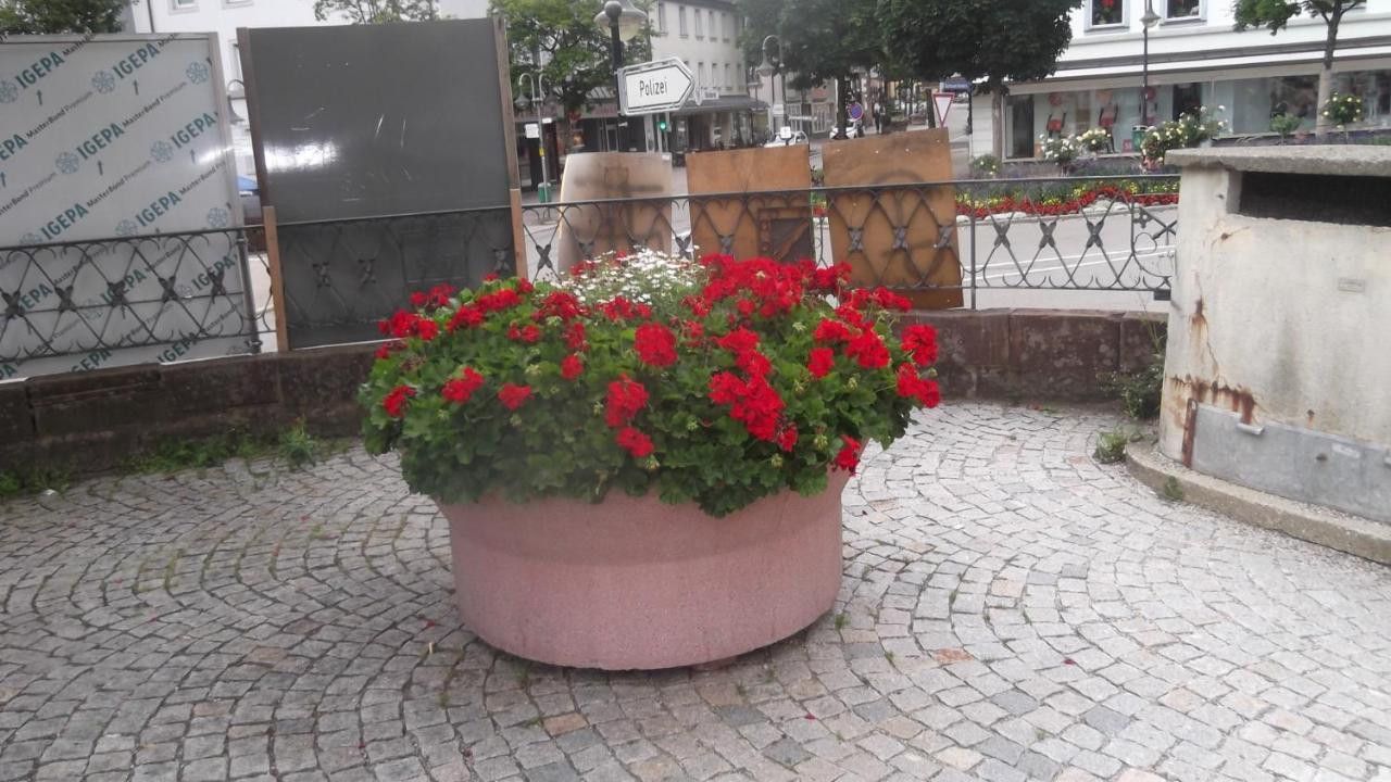 Hotel Neustaedter Hof Titisee-Neustadt Εξωτερικό φωτογραφία